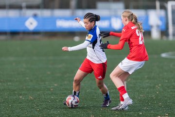 Bild 398 - wBJ Hamburger SV - Holstein Kiel : Ergebnis: 8:0
